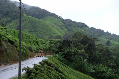 /pic/trip2017/06_malaysia_DSCF8010.JPG