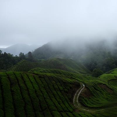 /pic/trip2017/06_malaysia_DSCF8053_v1.JPG