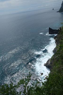 /pic/trip2017/07_nusa_lembongan_DSCF8440.JPG