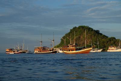 /pic/trip2017/09_labuan_bajo_DSCF8659.JPG