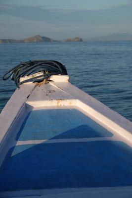 /pic/trip2017/09_labuan_bajo_DSCF8664.JPG